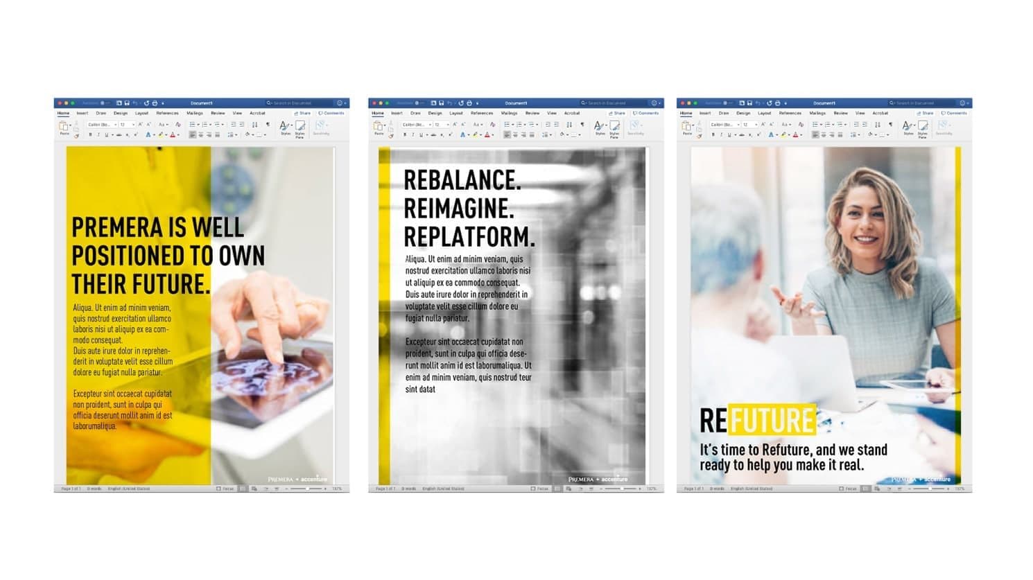 Premera pitch deck, page